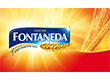 Fontaneda